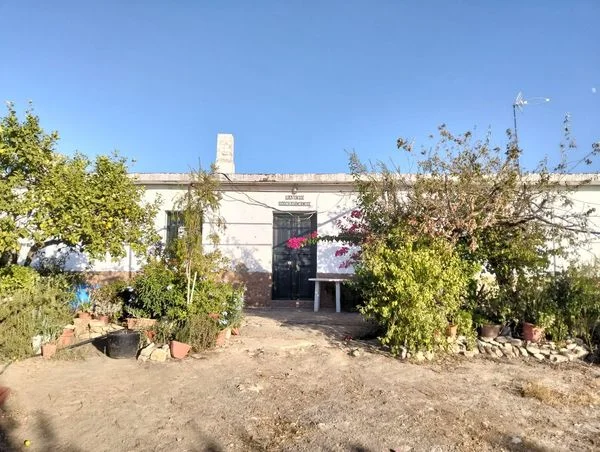 Parcela urbana de olivos cerca de Villamartín