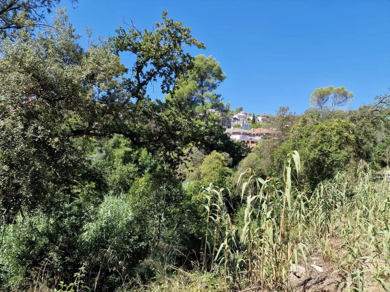 Castellnou plot near C-58, 533 m²