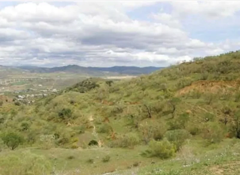 Large rural plot with almond trees