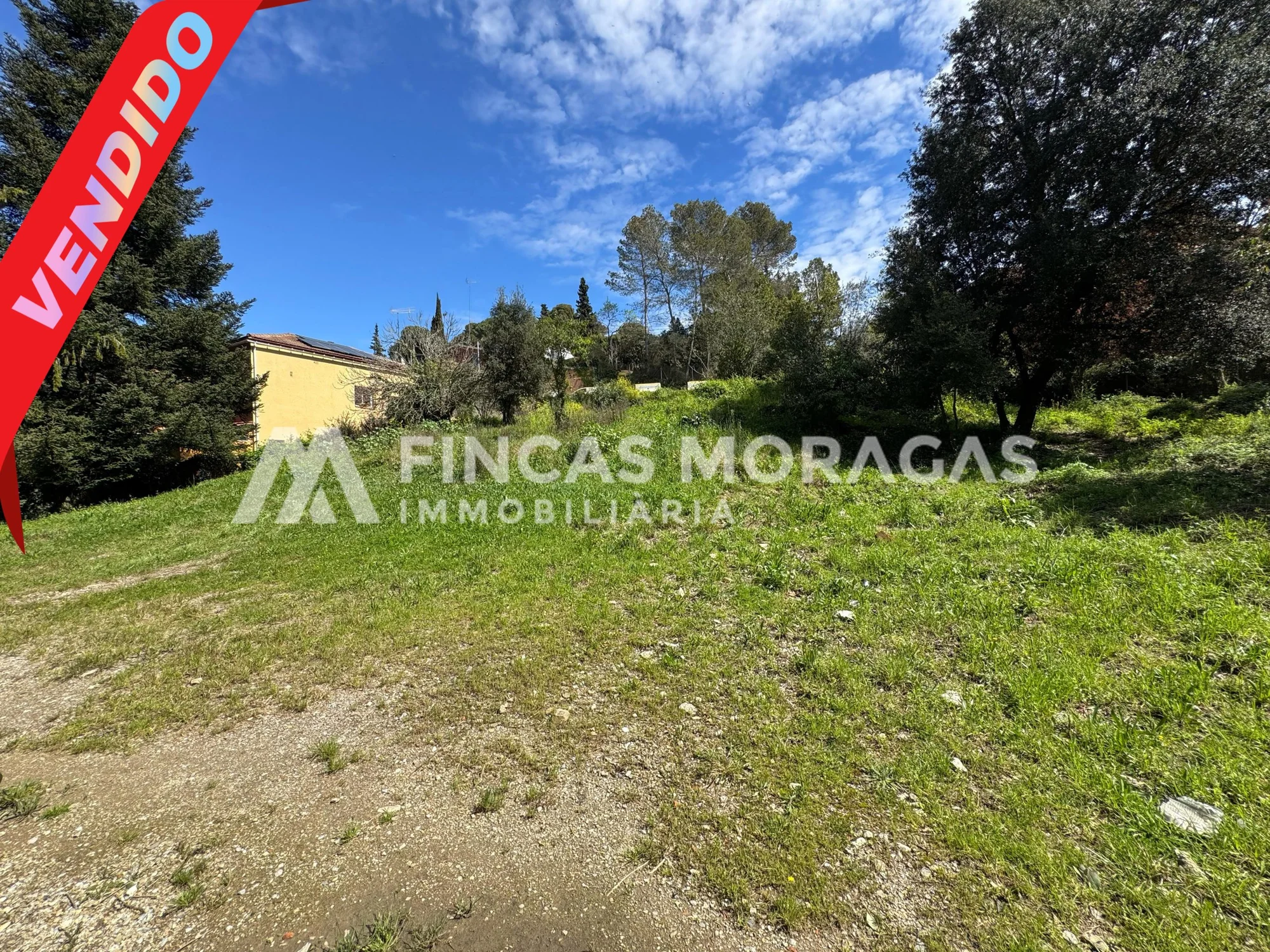 La Floresta plot, 775 m²