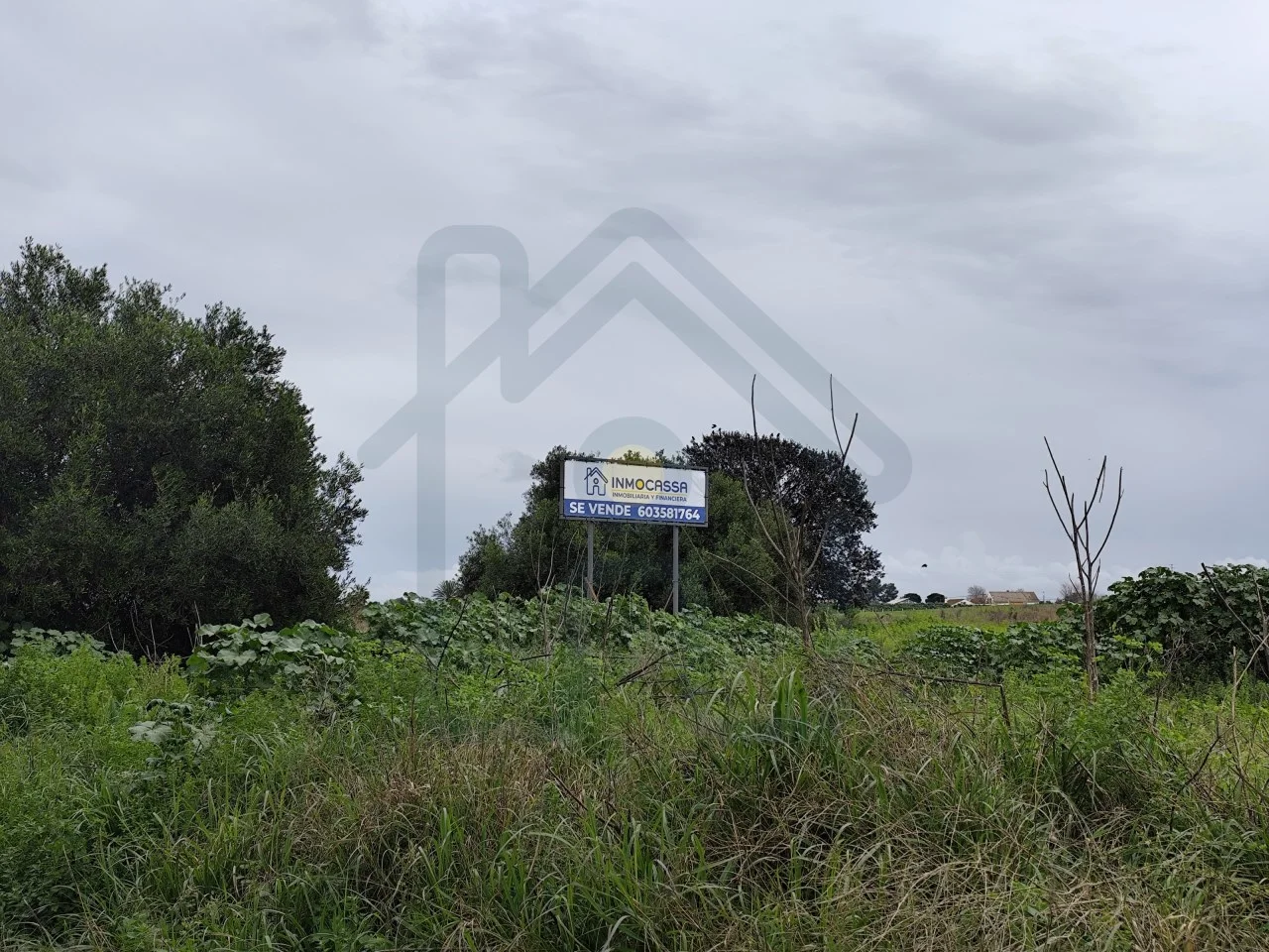 Terreno urbanizable cerca de Los Palacios