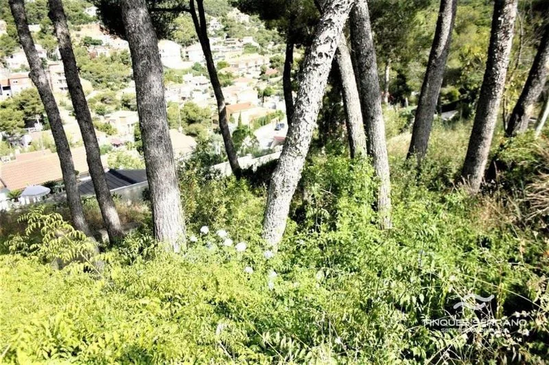 Urban Cubelles plot with 864 m²