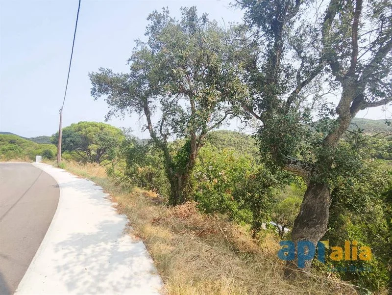 756 m² plot in Mas Pere