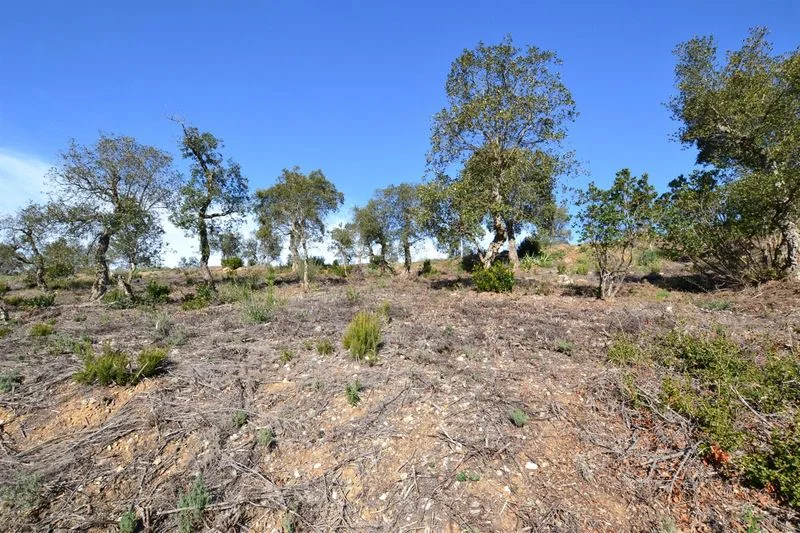 Mountain plot in Calonge, 723 m²