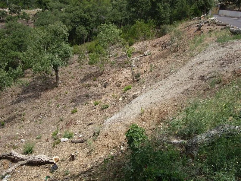 Parcela tranquila en Calonge, 646 m²