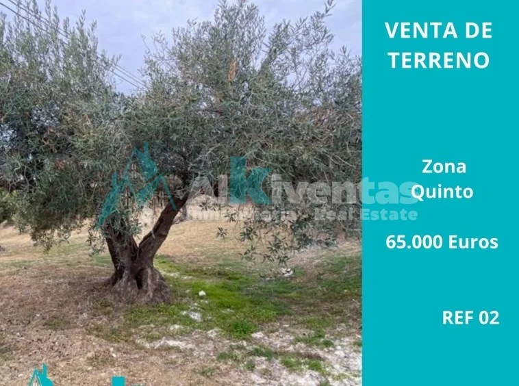Olive grove plot near Alhaurín