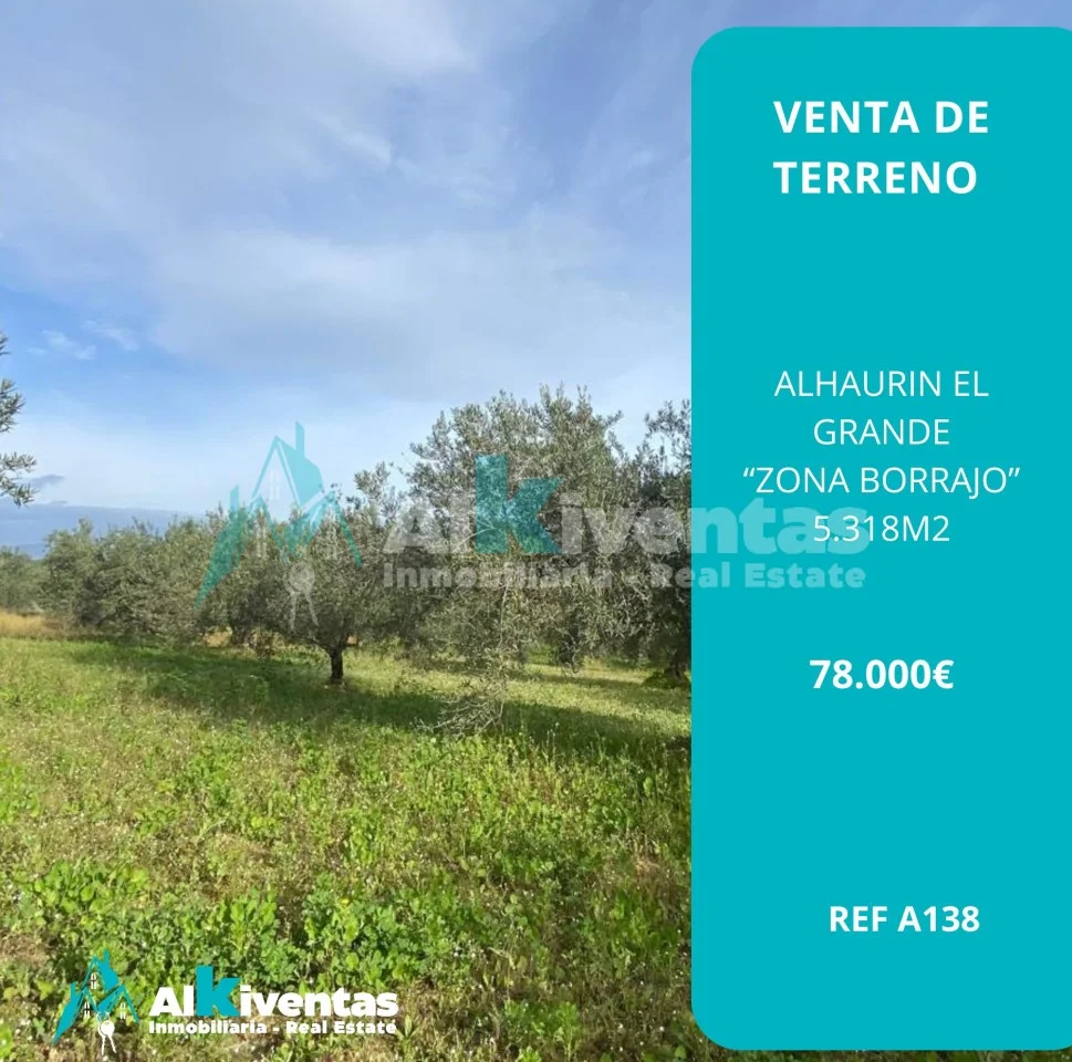 Rustic land with olive grove, 5,318 m²