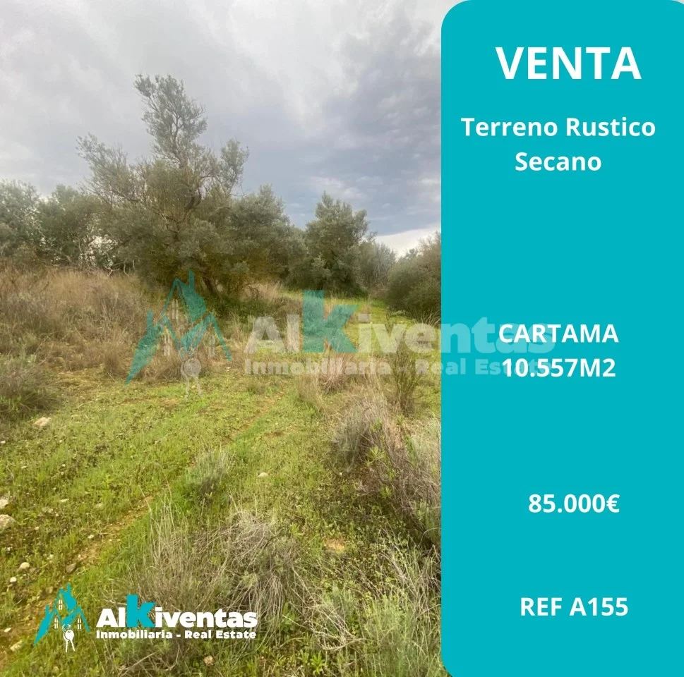 Terreno rústico en Cártama con olivos