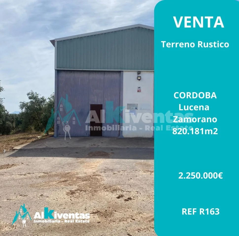 Finca olivar ecológico cerca de Lucena