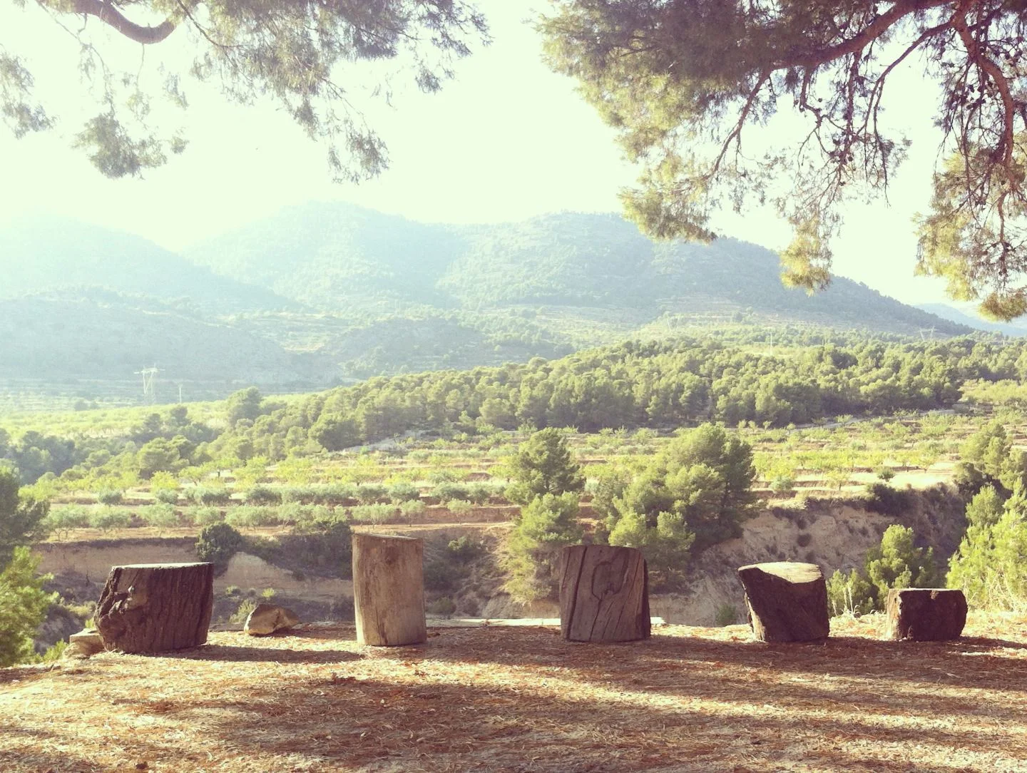 Finca rústica con potencial hotelero