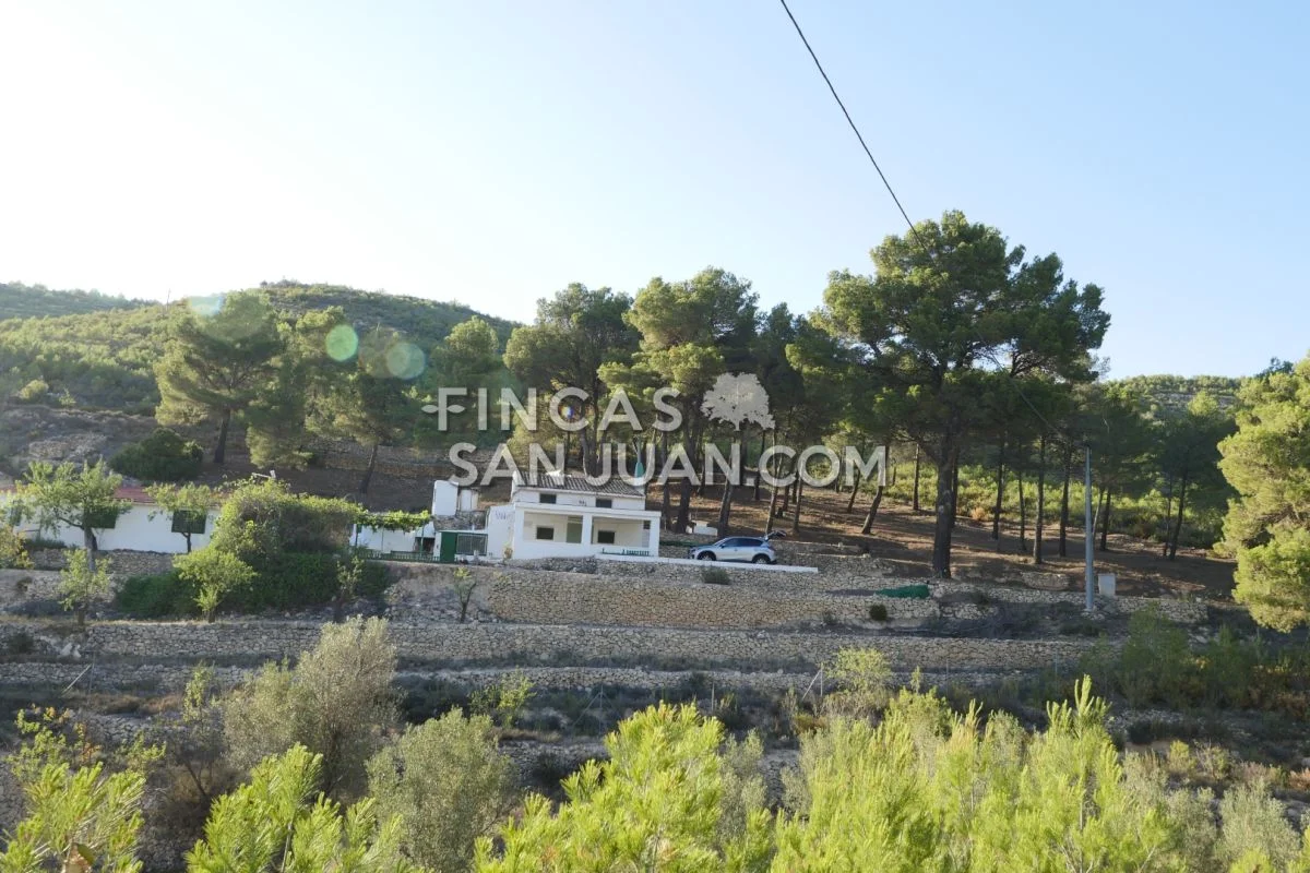 Finca rústica con dos construcciones