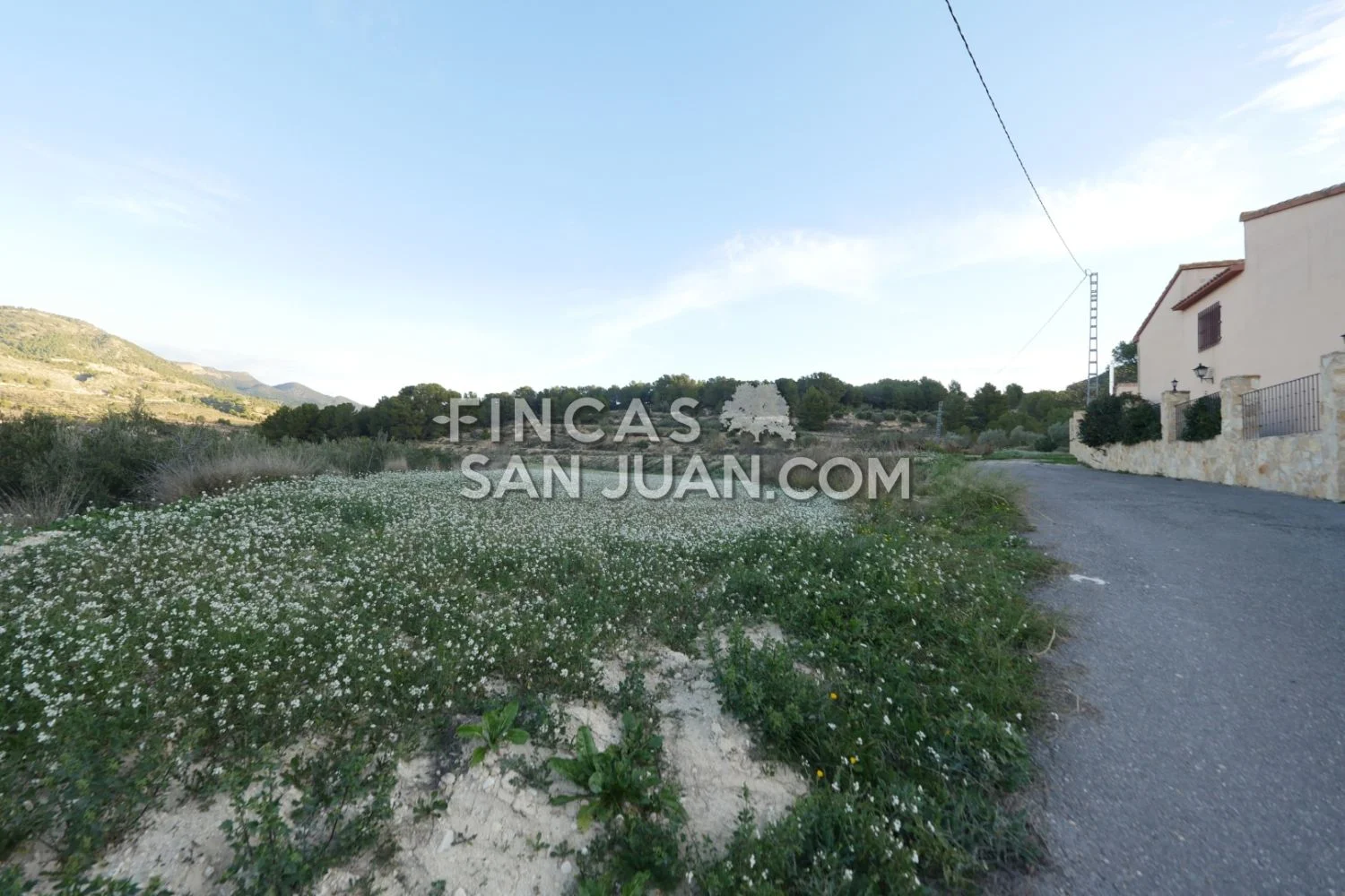 Terreno rústico cerca de Torremanzanas, 27.807 m²