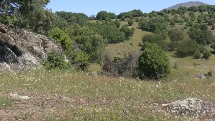 Finca rústica de 60 hectáreas cerca de Colmenar