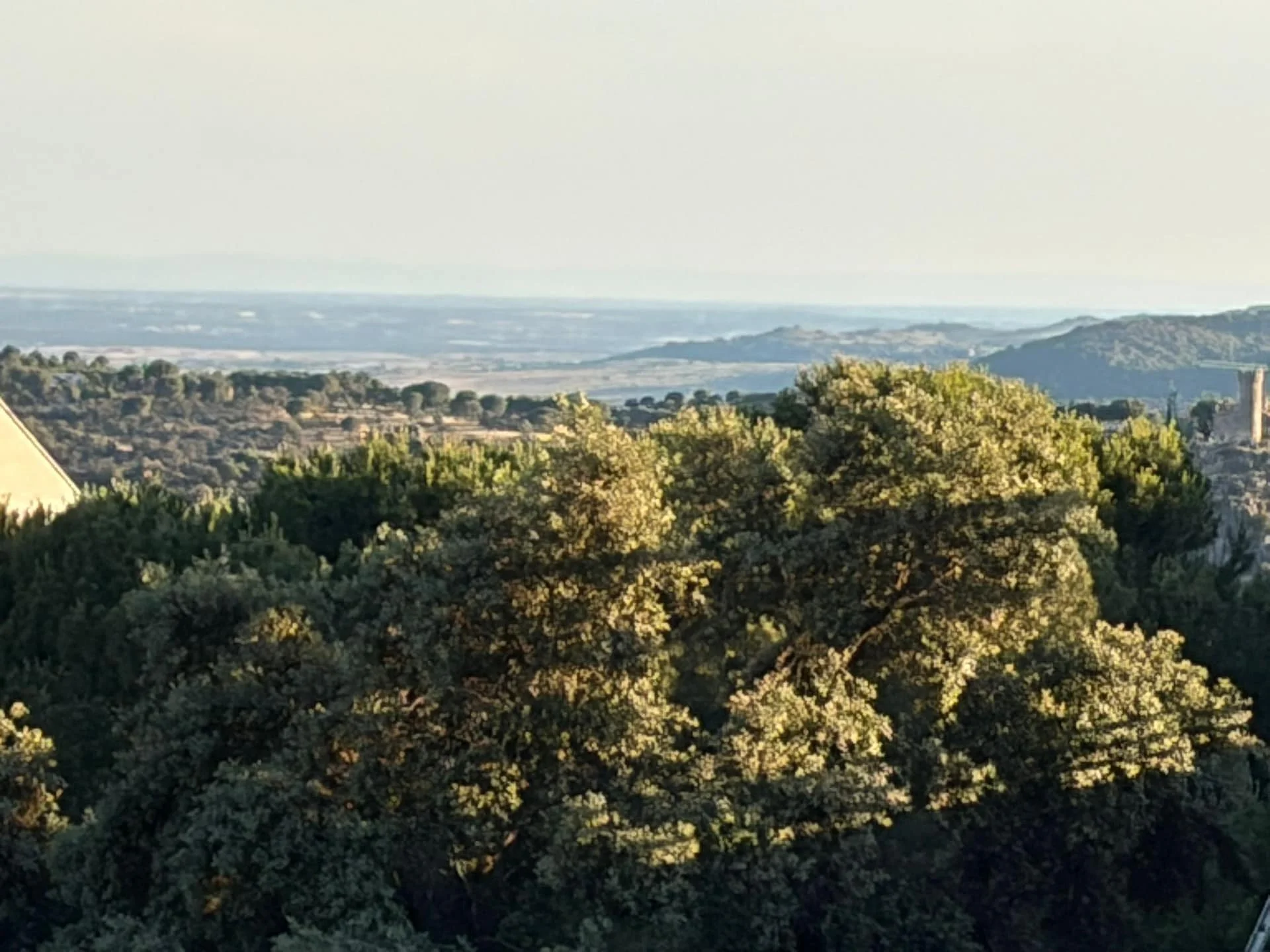 Parcela edificable en Torrelodones con vistas