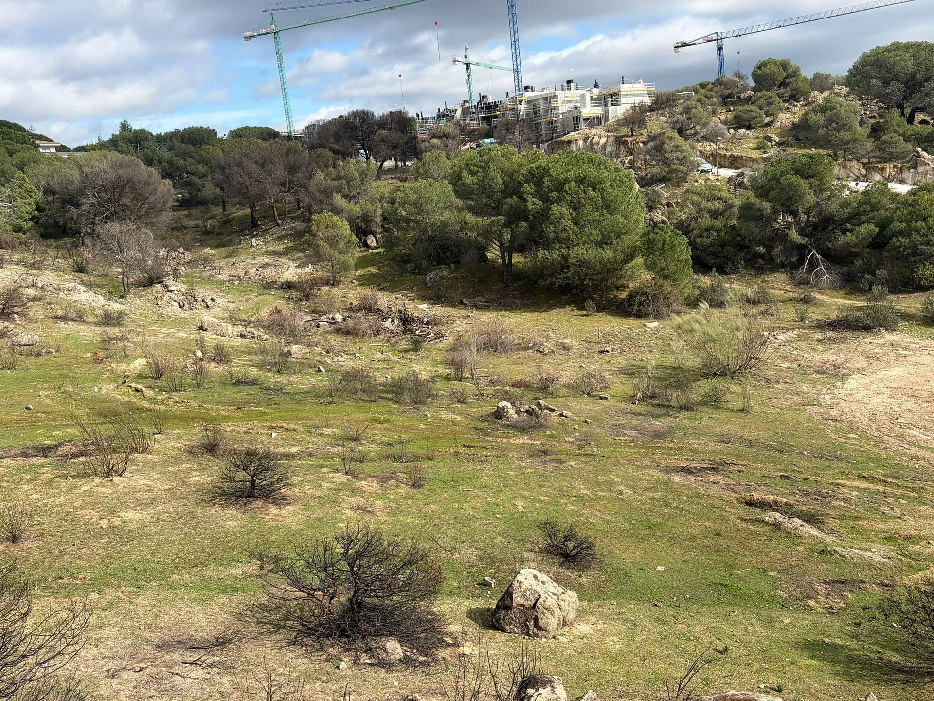 Parcela edificable de 822 m² en Torrelodones