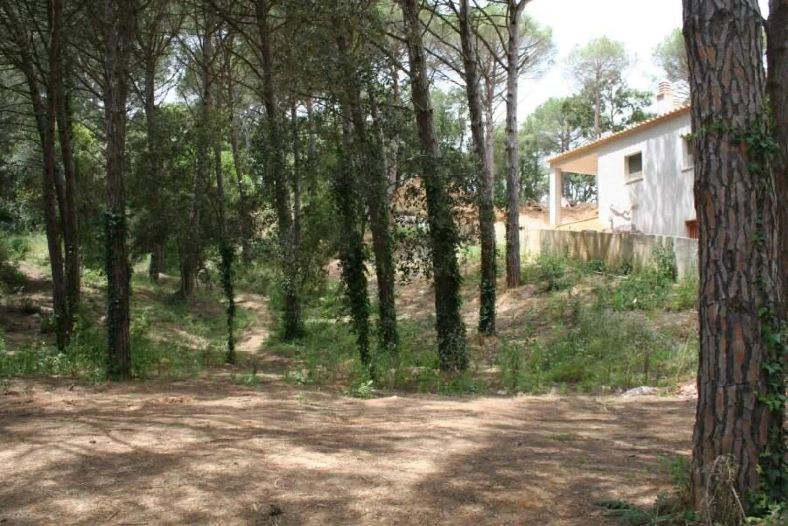 Terreno urbano edificable cerca de Calonge