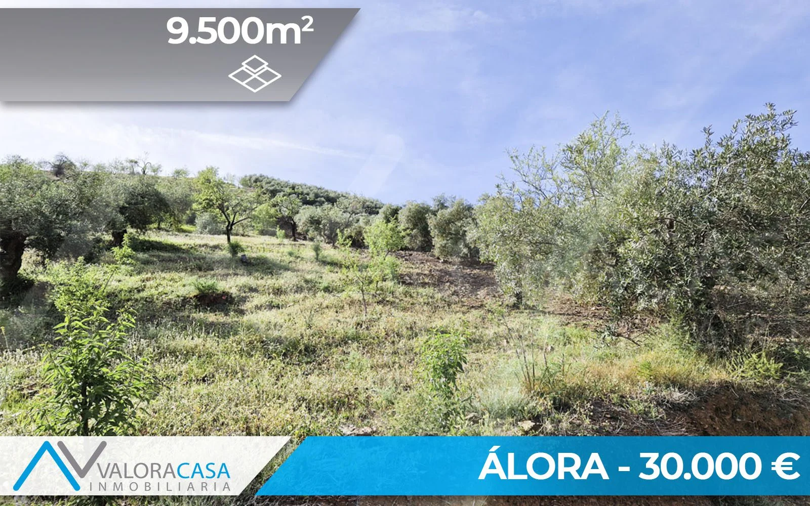 Olive grove land near Álora