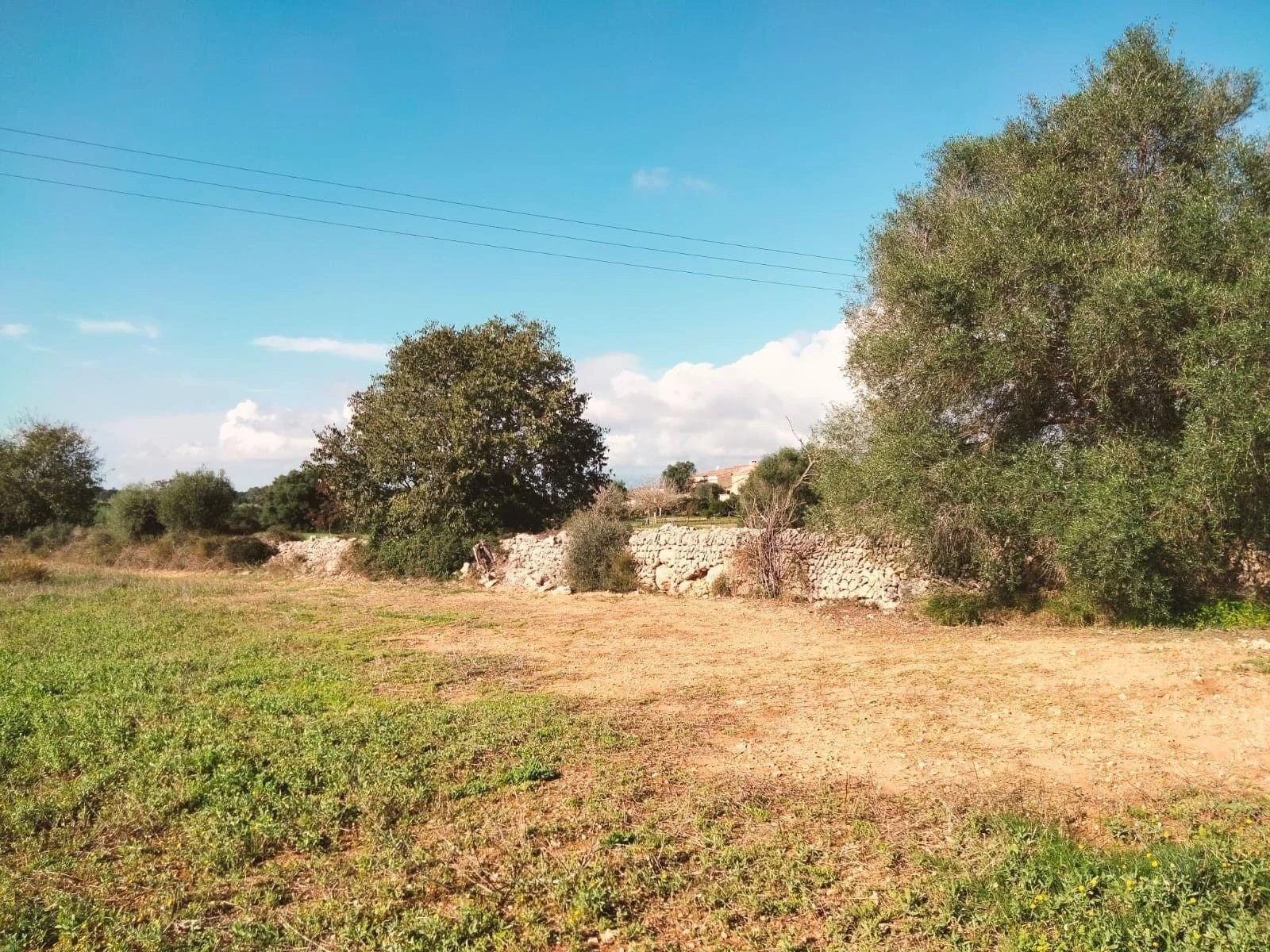 Rural Llubí plot with agricultural potential