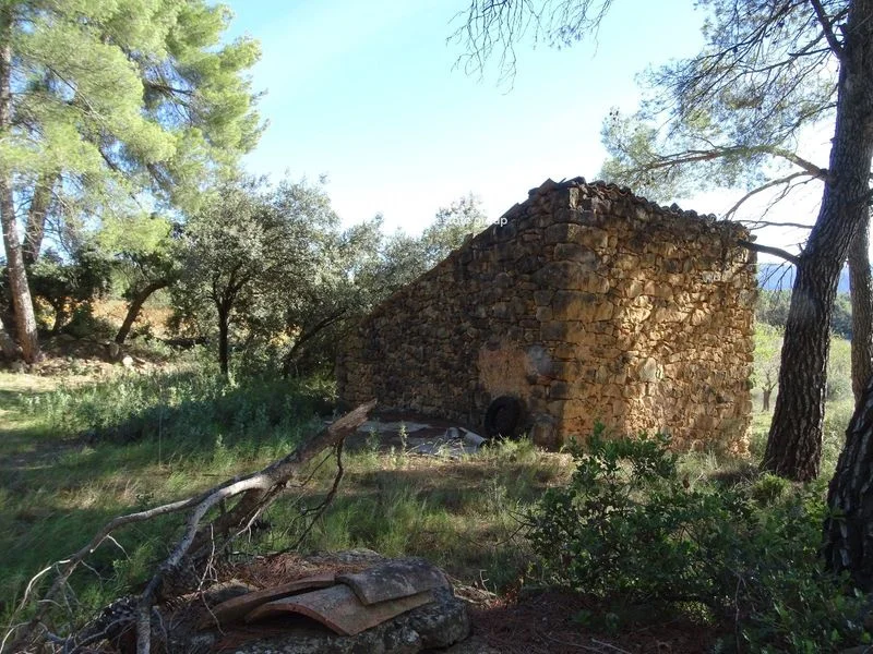 Rural plot in Horta, 16,062 m²