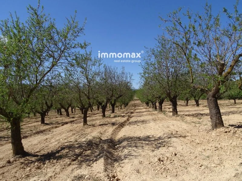 Rural plot in Arnes, 16,029 m²