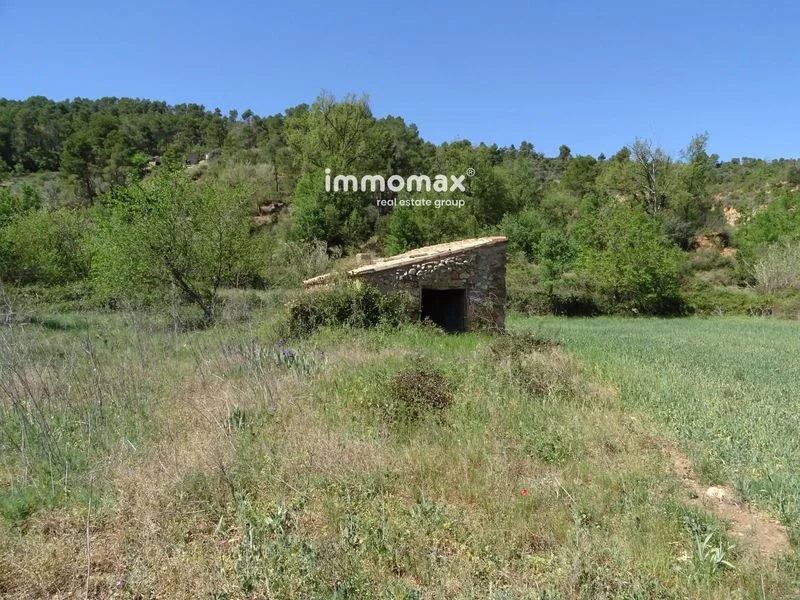 Rural plot in Horta de Sant Joan