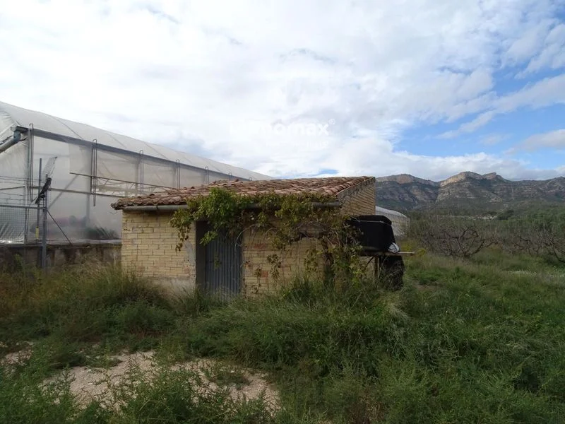 Rural plot in Pinell de Brai