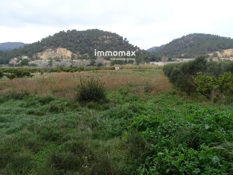 Rural land in Benifallet, 33,330 m²