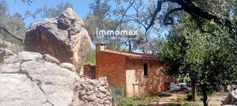 Rural plot in Paüls with spring water