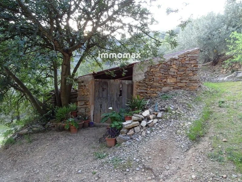 Rural plot in Paüls, 15,651 m²