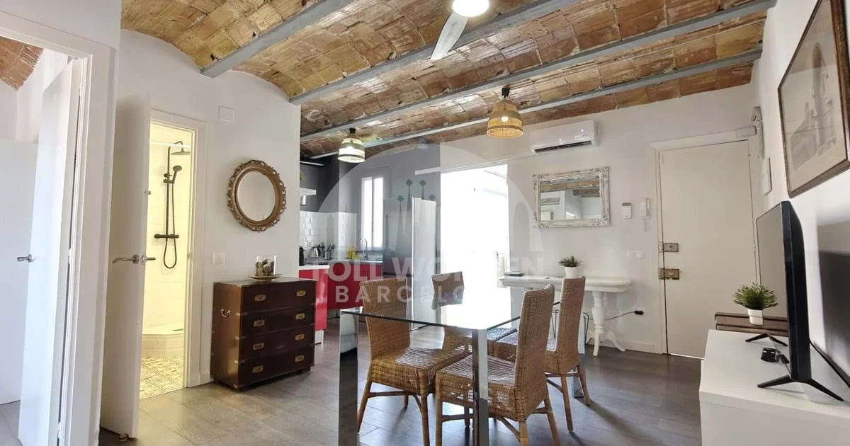 Reformed tourist flat near Camp Nou