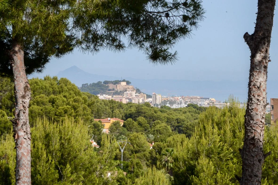 Private sea-view villa in Las Rotas