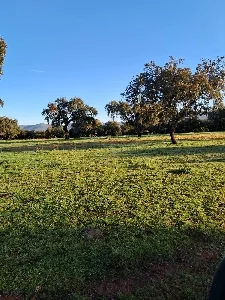 Carmonita dehesa with 85,000 m² acreage