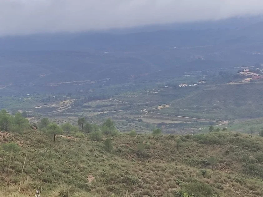Large rural plot in Yatova, 28,336 m²