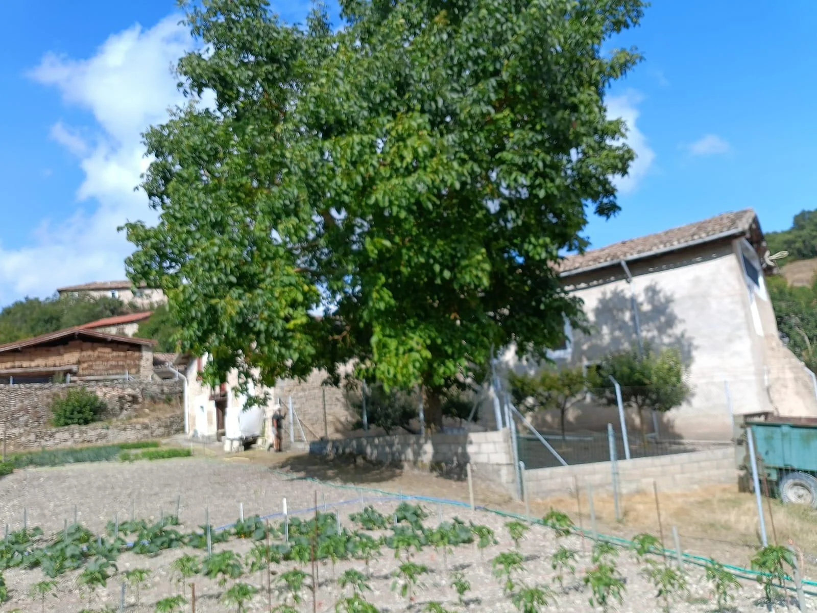 Rural estate with farmland and outbuildings