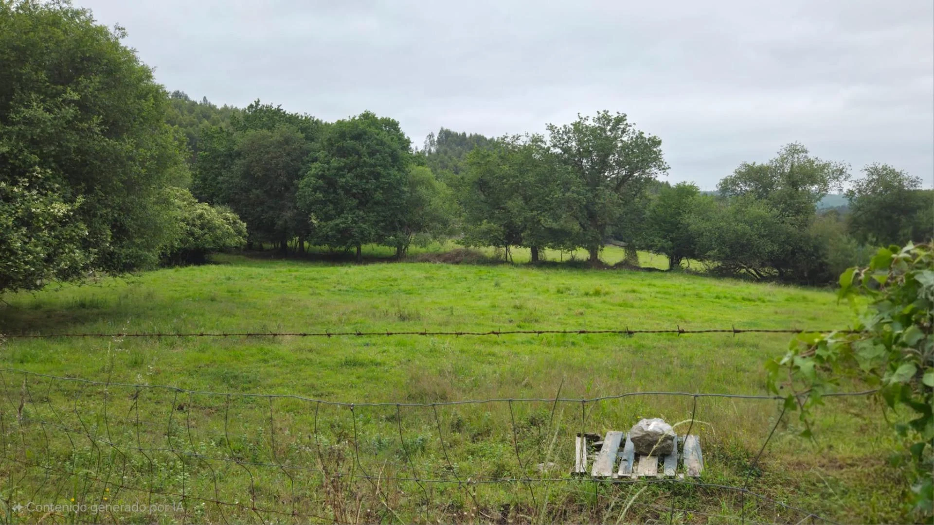 Rural plot with private well