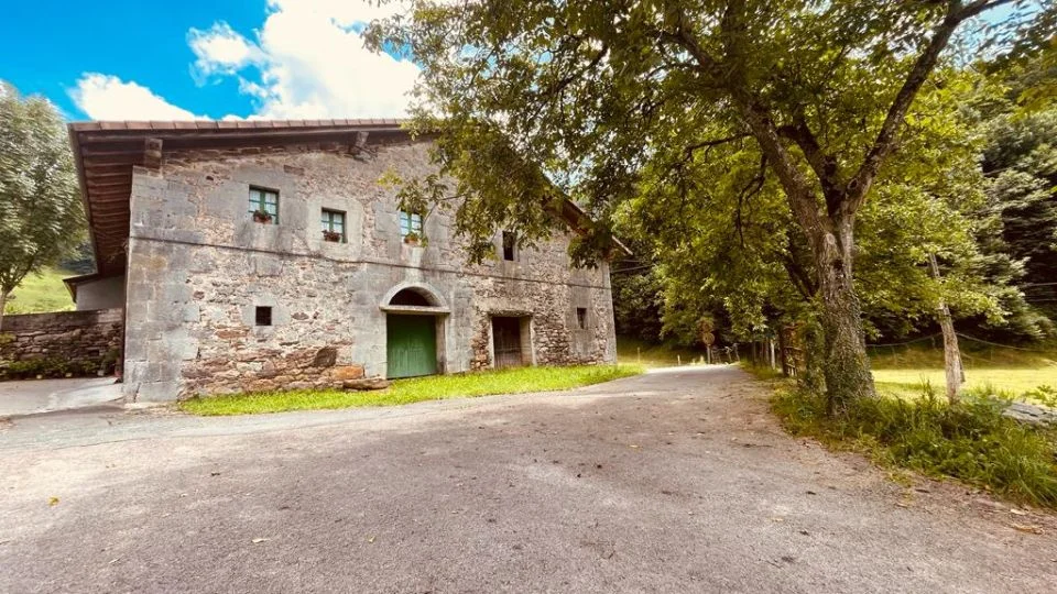 Historic bifamiliar farmhouse with 50,000m² land