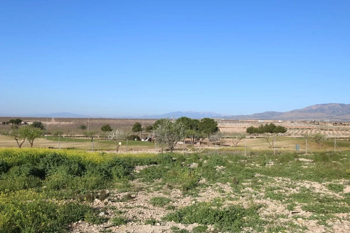 Golf-front plot with 859 m²