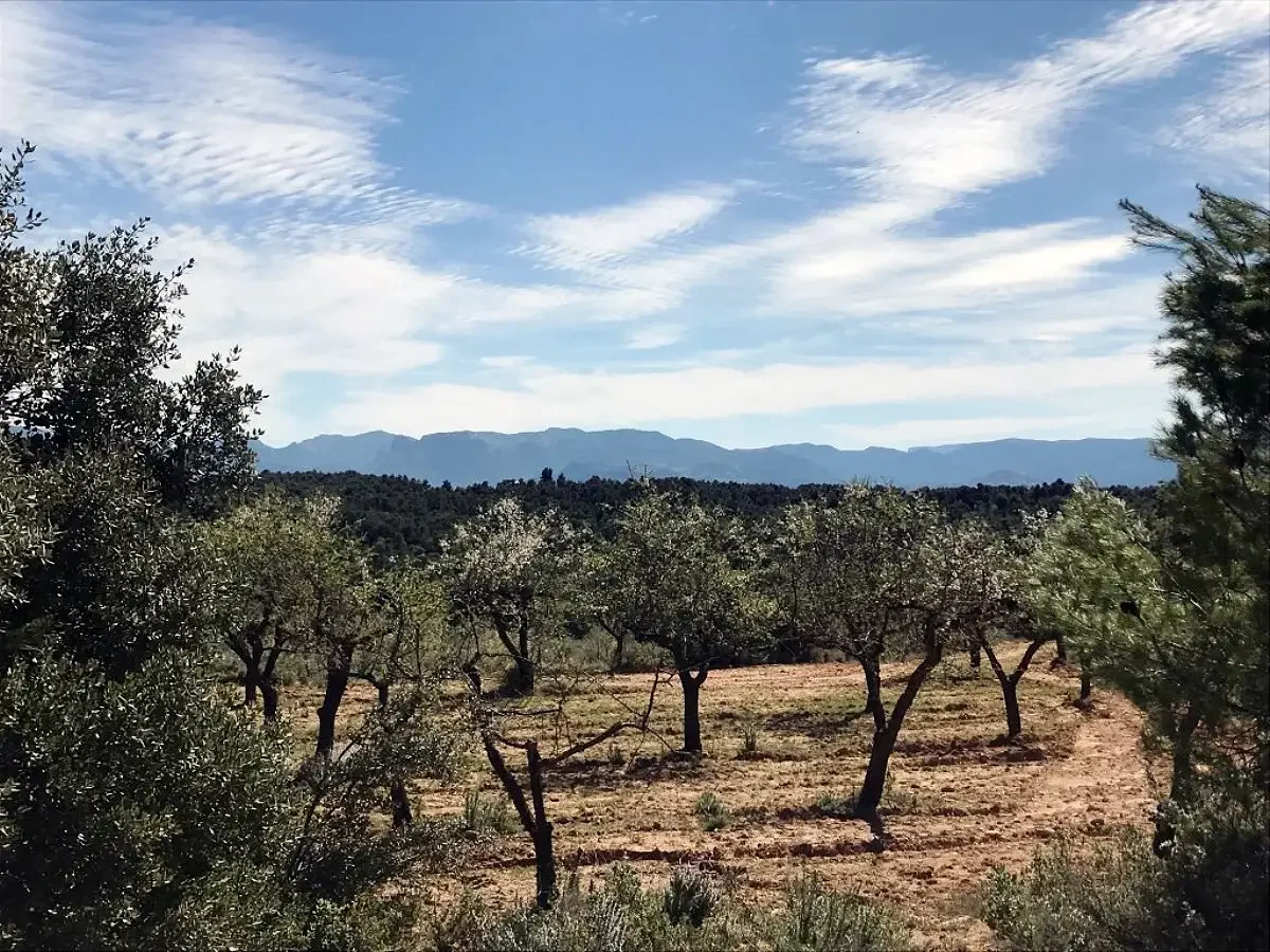 Rural finca with 7.95 hectares
