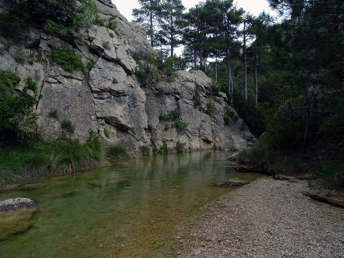 Finca forestal salvaje de 31 hectáreas en Beceite