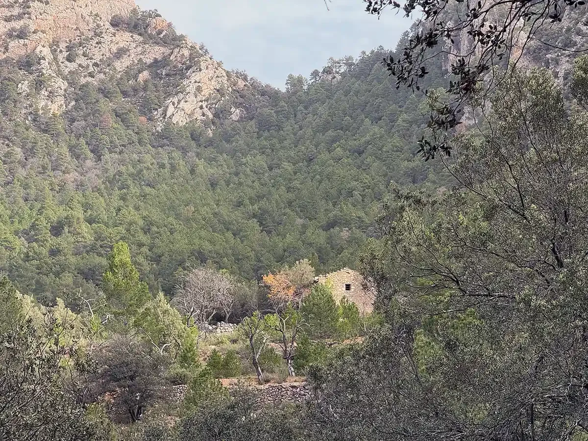 Finca de 77 hectáreas con masía en Beceite
