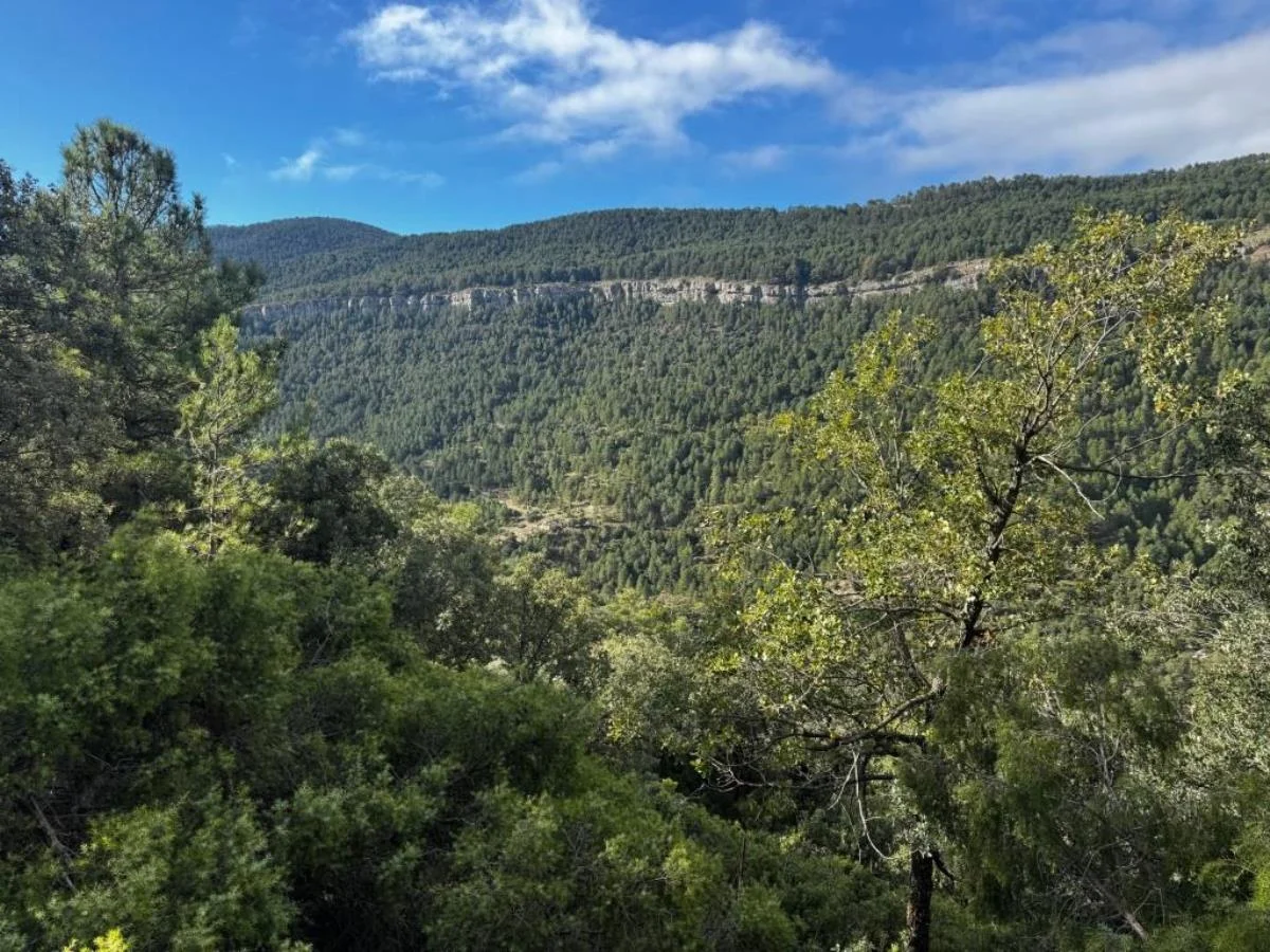 Finca rústica de 136 hectáreas con agua
