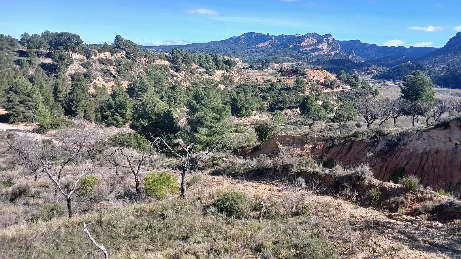 Finca rústica cerca de Bot con agua