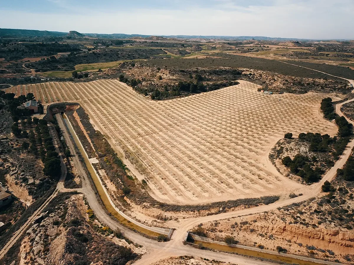 Finca de almendros productiva cerca de Caspe