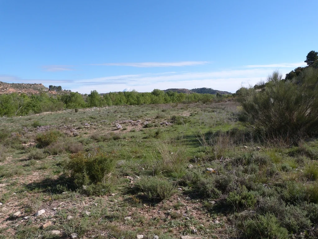 Irrigated 5-hectare plot near Castelserás
