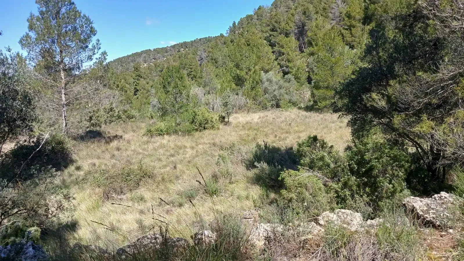 Rural land with ruined building, Fórnoles