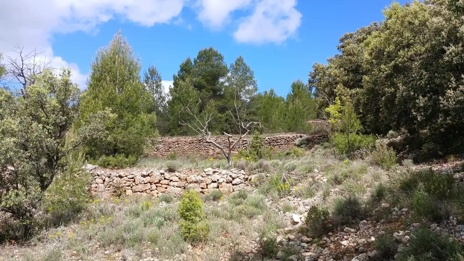 Finca rústica con tres edificaciones