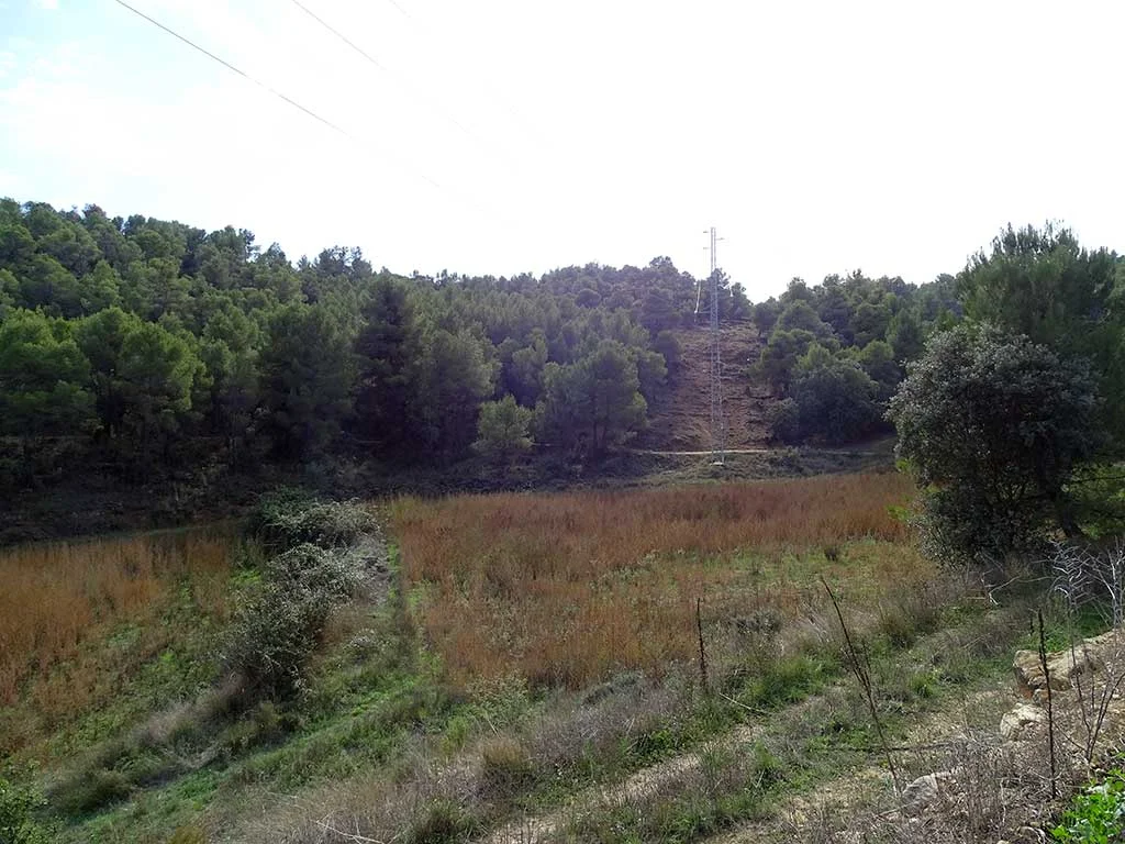 Finca rústica con 4,89 hectáreas