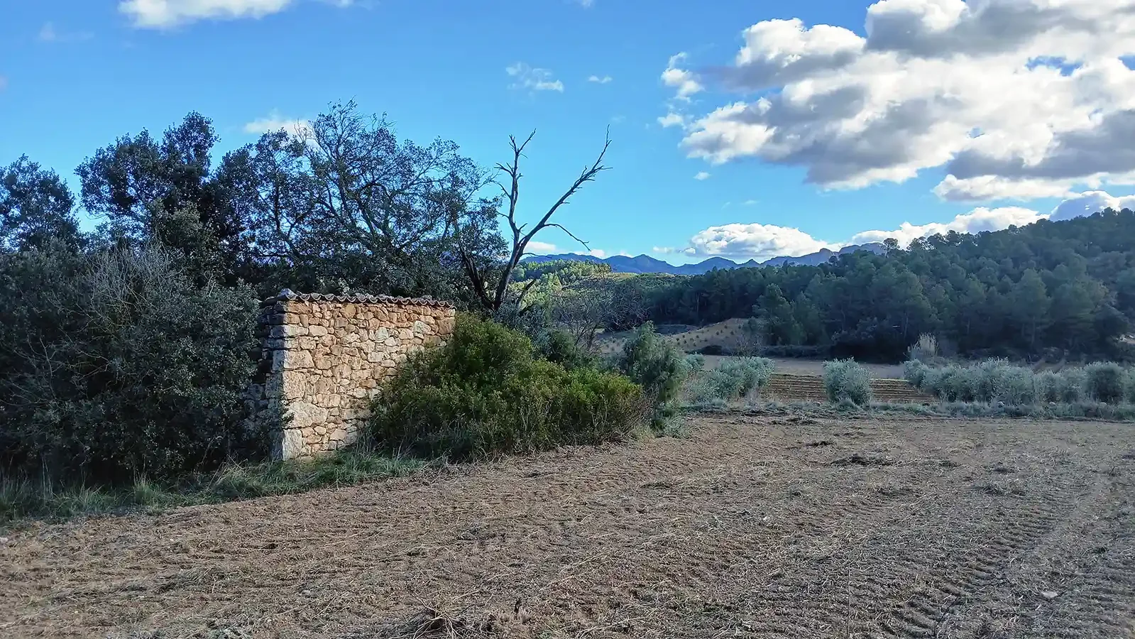 Rustic land with mountain views
