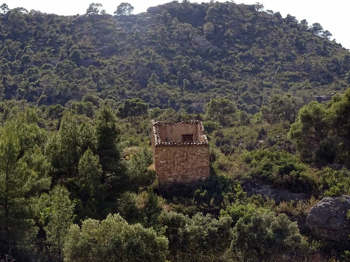 Finca privada de 3,2 hectáreas con olivos y almendros