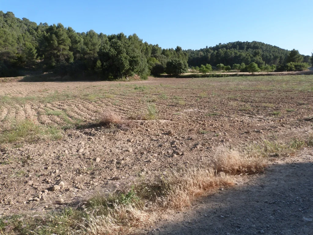 Mazaleón rural plot, 10,000 m²